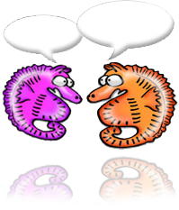 chat