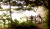 Kissing Gate